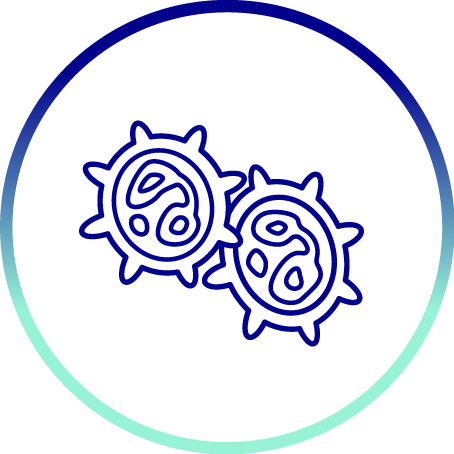 immune cells icon